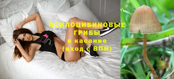 кристаллы Богородицк