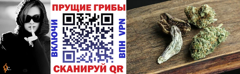 как найти закладки  Сковородино  Галлюциногенные грибы прущие грибы 